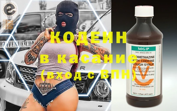 шишки Лабытнанги