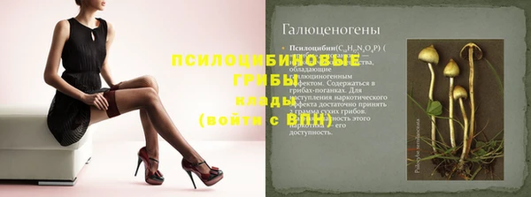 стафф Абаза